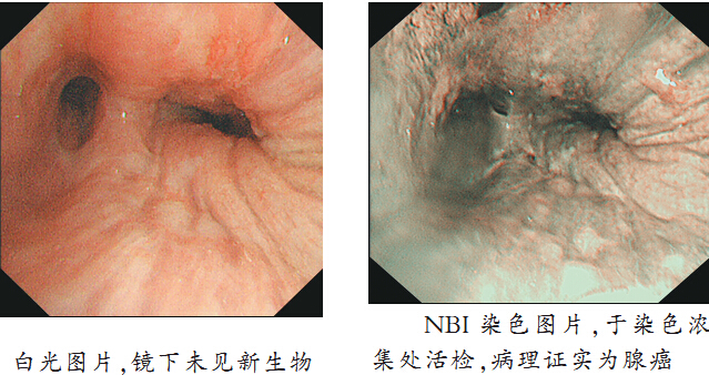 QQ截圖20150630172030.jpg